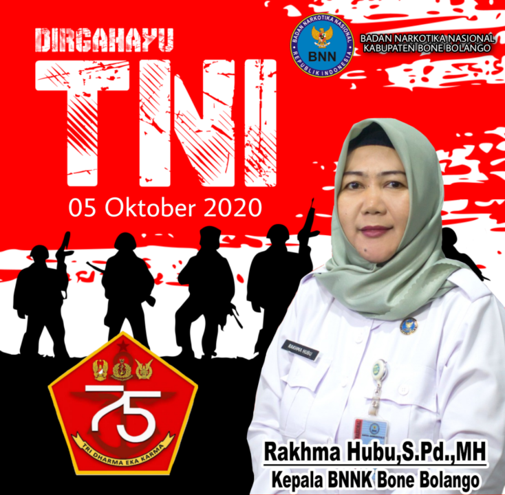 HUT TNI